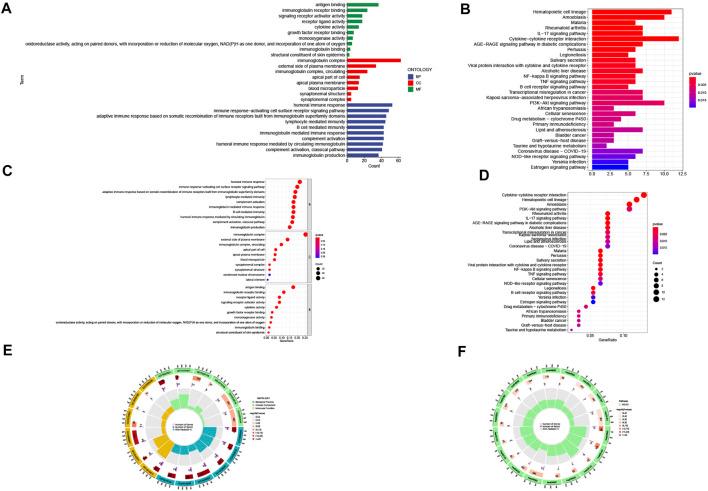 https://cdn.ncbi.nlm.nih.gov/pmc/blobs/c3e9/9354258/d193ef04628f/fgene-13-947551-g006.jpg