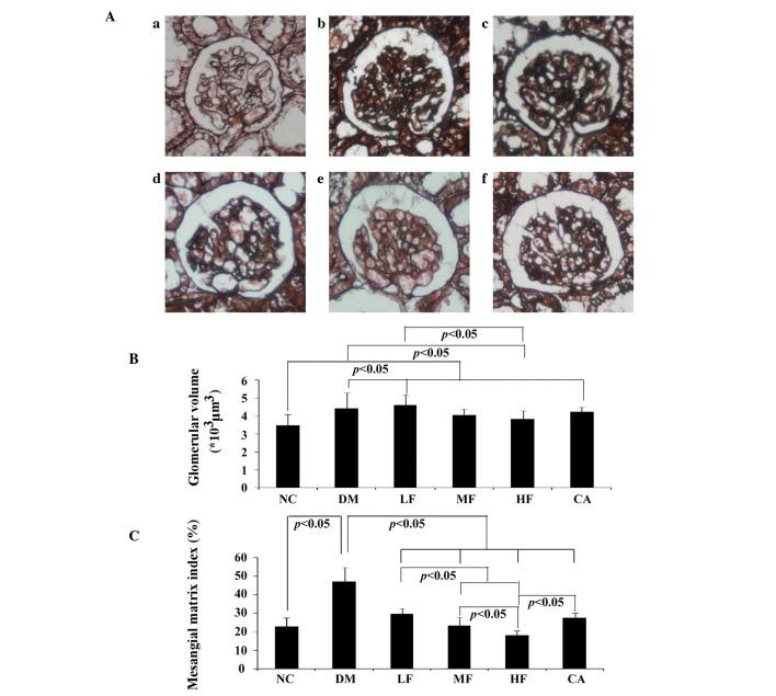 https://cdn.ncbi.nlm.nih.gov/pmc/blobs/c3ea/3493747/964f32239762/ETM-04-05-0871-g02.jpg