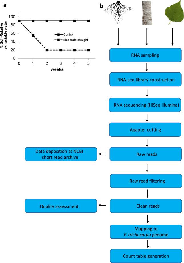 https://cdn.ncbi.nlm.nih.gov/pmc/blobs/c3eb/9197931/4e0412549698/41597_2022_1417_Fig1_HTML.jpg