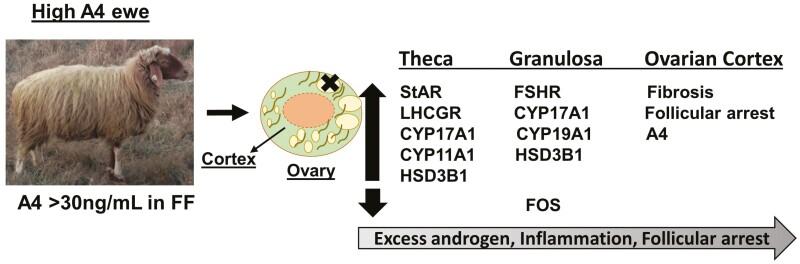 https://cdn.ncbi.nlm.nih.gov/pmc/blobs/c3ec/10184696/e206418ca752/skad082_fig7.jpg