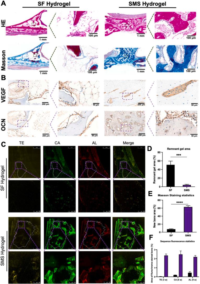 https://cdn.ncbi.nlm.nih.gov/pmc/blobs/c3ec/9483602/426bb3f4e01d/gr11.jpg