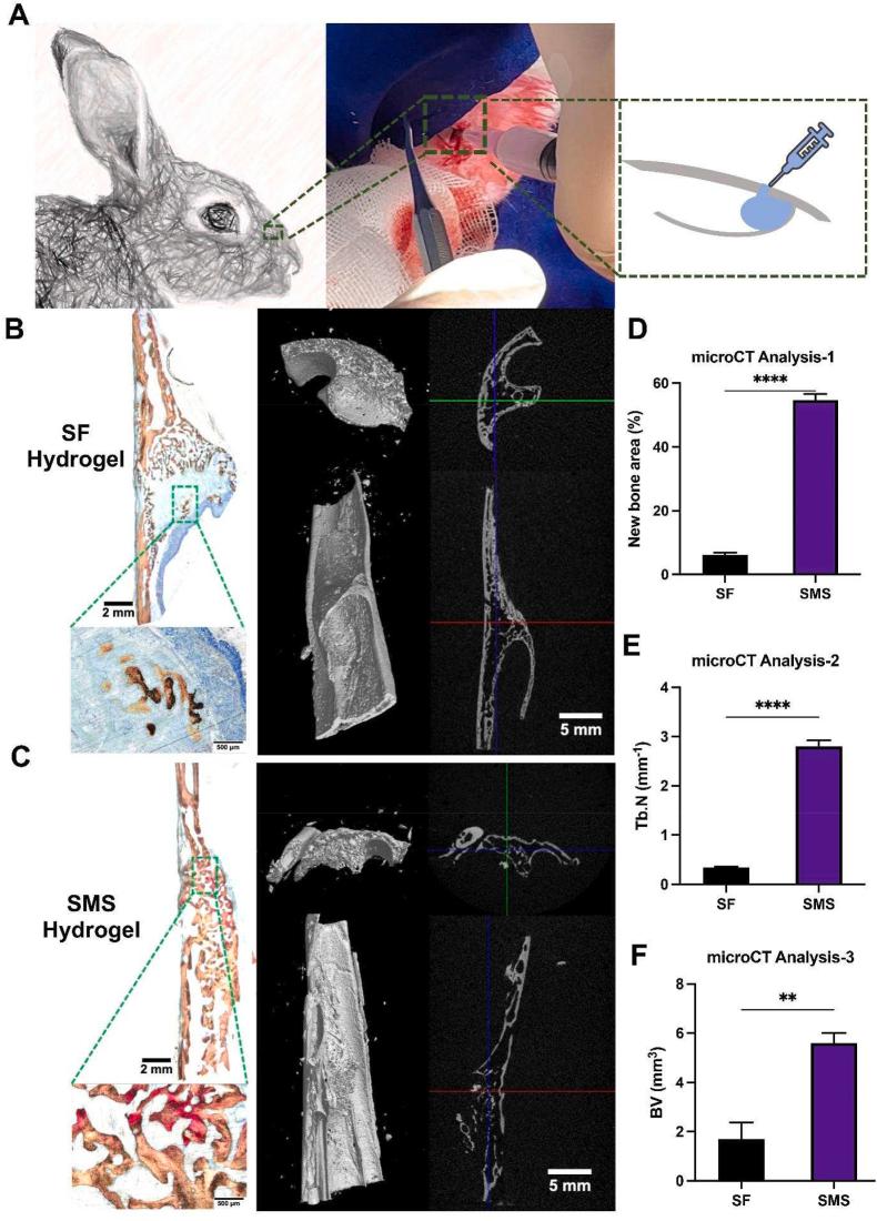 https://cdn.ncbi.nlm.nih.gov/pmc/blobs/c3ec/9483602/bc504d54c0fe/gr9.jpg