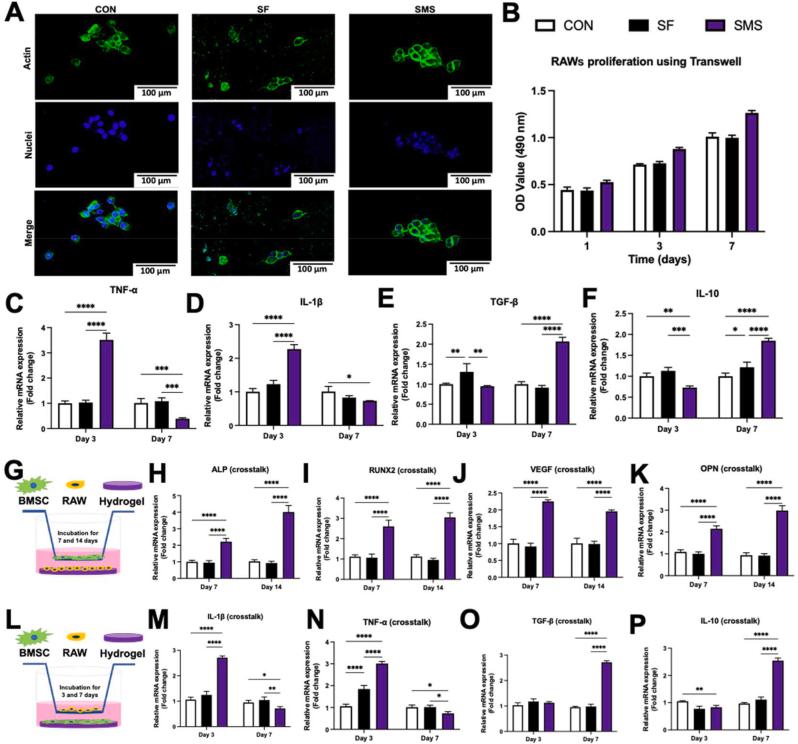 https://cdn.ncbi.nlm.nih.gov/pmc/blobs/c3ec/9483602/c436b3d9eca9/gr6.jpg