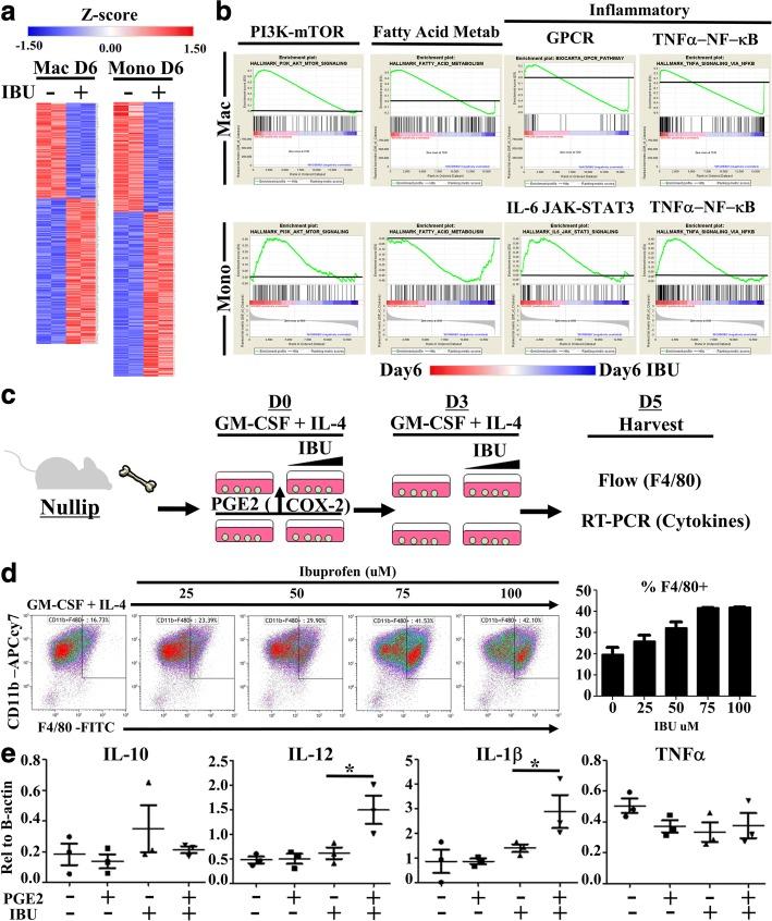 https://cdn.ncbi.nlm.nih.gov/pmc/blobs/c3ed/6167844/c484848883de/40425_2018_406_Fig7_HTML.jpg