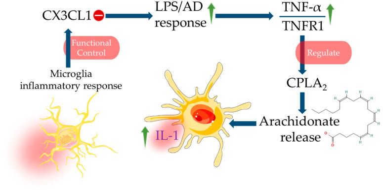 https://cdn.ncbi.nlm.nih.gov/pmc/blobs/c3ed/8534363/13522a3bf30b/cells-10-02790-g004.jpg