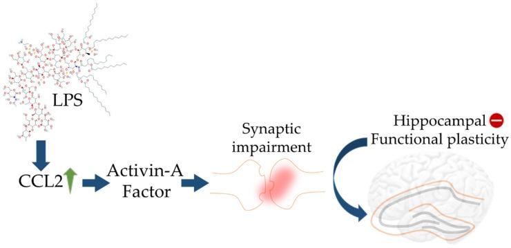 https://cdn.ncbi.nlm.nih.gov/pmc/blobs/c3ed/8534363/6d4d2e464746/cells-10-02790-g002.jpg