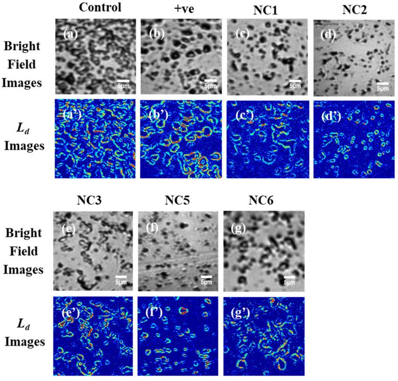 https://cdn.ncbi.nlm.nih.gov/pmc/blobs/c3ee/7464845/f2a22c291691/molecules-25-03631-g003.jpg