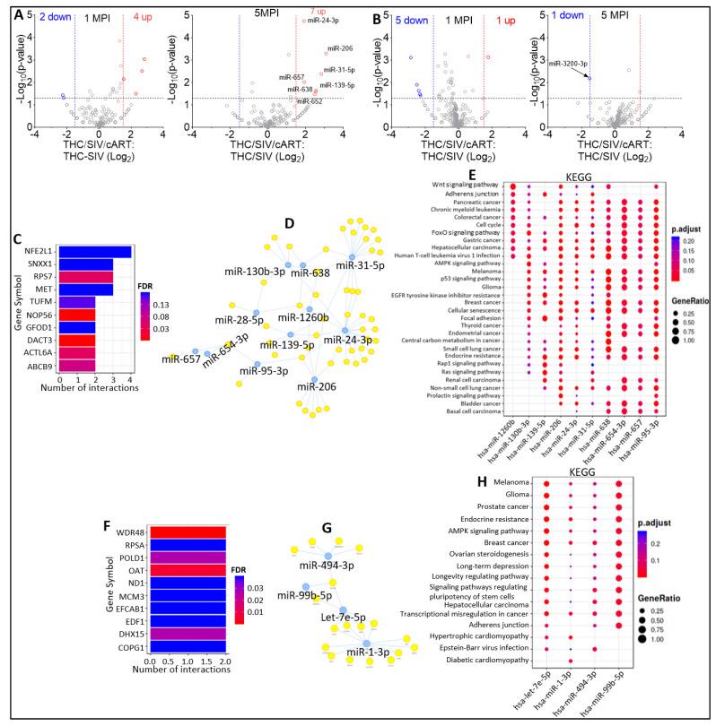 https://cdn.ncbi.nlm.nih.gov/pmc/blobs/c3f3/10053514/3b6c2fe5cd67/viruses-15-00623-g006.jpg