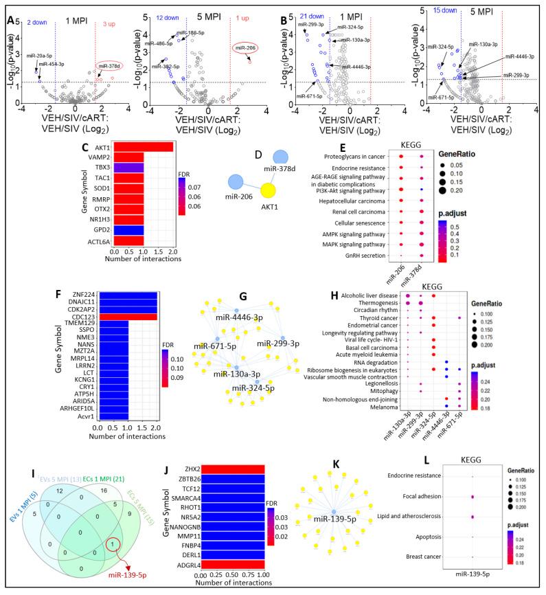 https://cdn.ncbi.nlm.nih.gov/pmc/blobs/c3f3/10053514/6fdef165adf1/viruses-15-00623-g003.jpg