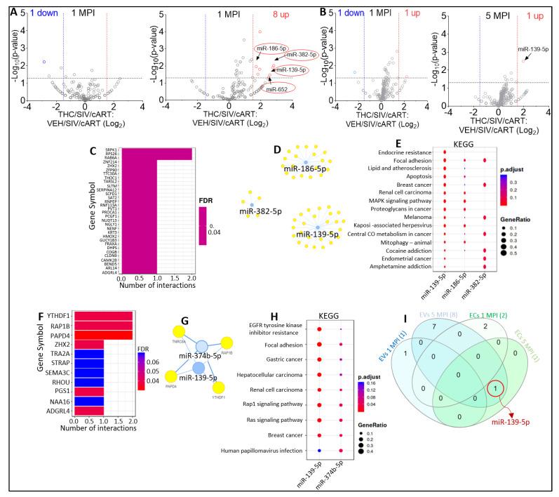 https://cdn.ncbi.nlm.nih.gov/pmc/blobs/c3f3/10053514/86977c19e78a/viruses-15-00623-g005.jpg