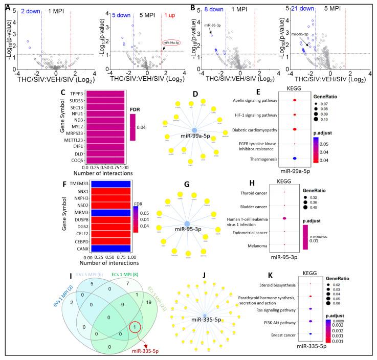 https://cdn.ncbi.nlm.nih.gov/pmc/blobs/c3f3/10053514/9c0a9790b2f8/viruses-15-00623-g004.jpg