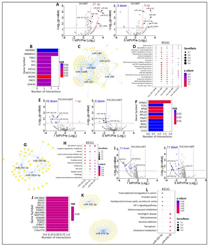 https://cdn.ncbi.nlm.nih.gov/pmc/blobs/c3f3/10053514/a7322bd218ac/viruses-15-00623-g007.jpg
