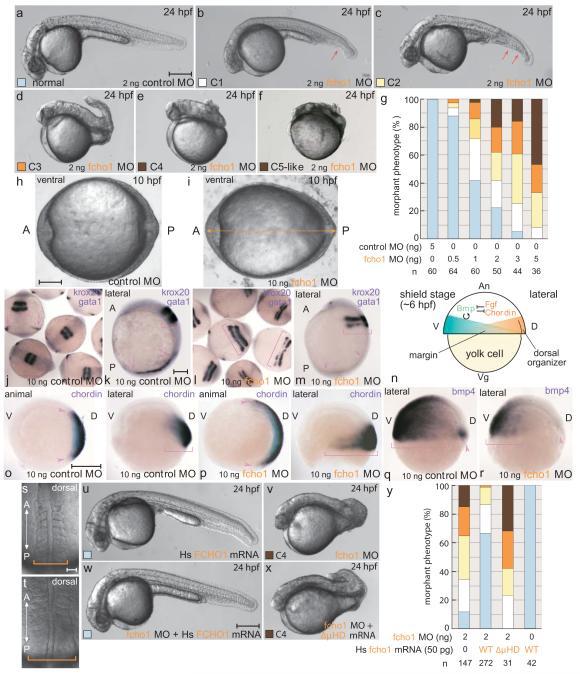 https://cdn.ncbi.nlm.nih.gov/pmc/blobs/c3f6/3354769/270d4f02f6c8/nihms-360591-f0004.jpg