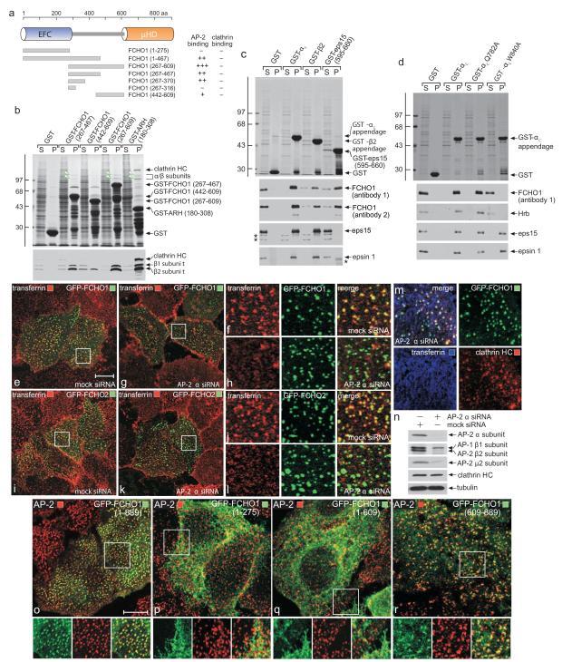 https://cdn.ncbi.nlm.nih.gov/pmc/blobs/c3f6/3354769/6294d110d69c/nihms-360591-f0001.jpg