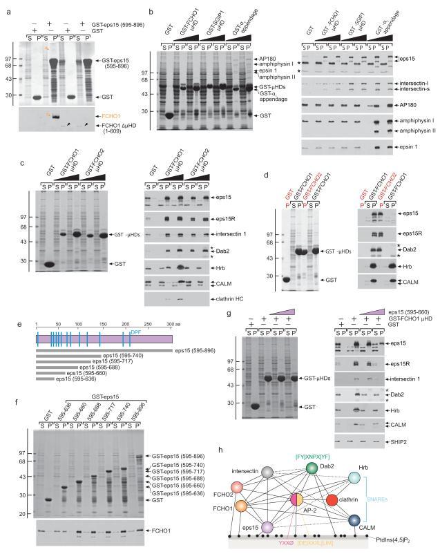https://cdn.ncbi.nlm.nih.gov/pmc/blobs/c3f6/3354769/d1ff0c2ee3e2/nihms-360591-f0002.jpg