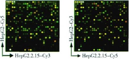 https://cdn.ncbi.nlm.nih.gov/pmc/blobs/c3f6/4155092/58ad3df17b44/12944_2014_1121_Fig3_HTML.jpg