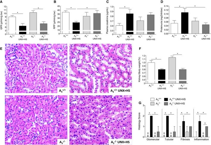 https://cdn.ncbi.nlm.nih.gov/pmc/blobs/c3f6/5015411/ae9ad6715292/JAH3-5-e003868-g002.jpg