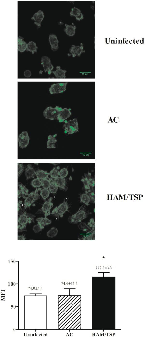 https://cdn.ncbi.nlm.nih.gov/pmc/blobs/c3f6/6156329/e93af250ed41/41598_2018_32324_Fig3_HTML.jpg