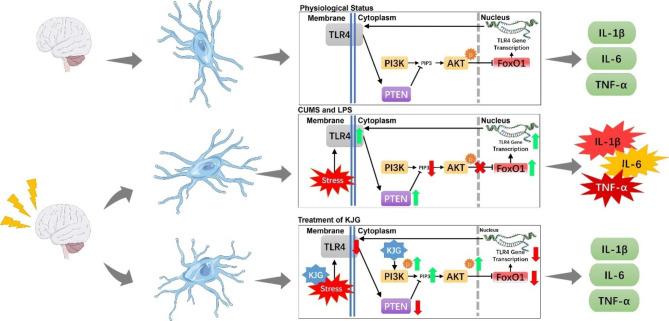 https://cdn.ncbi.nlm.nih.gov/pmc/blobs/c3f9/10182664/18c3cc6719b5/12906_2023_3970_Fig9_HTML.jpg