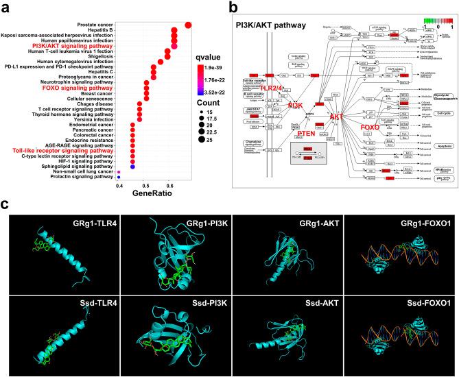 https://cdn.ncbi.nlm.nih.gov/pmc/blobs/c3f9/10182664/356be751b8fe/12906_2023_3970_Fig2_HTML.jpg