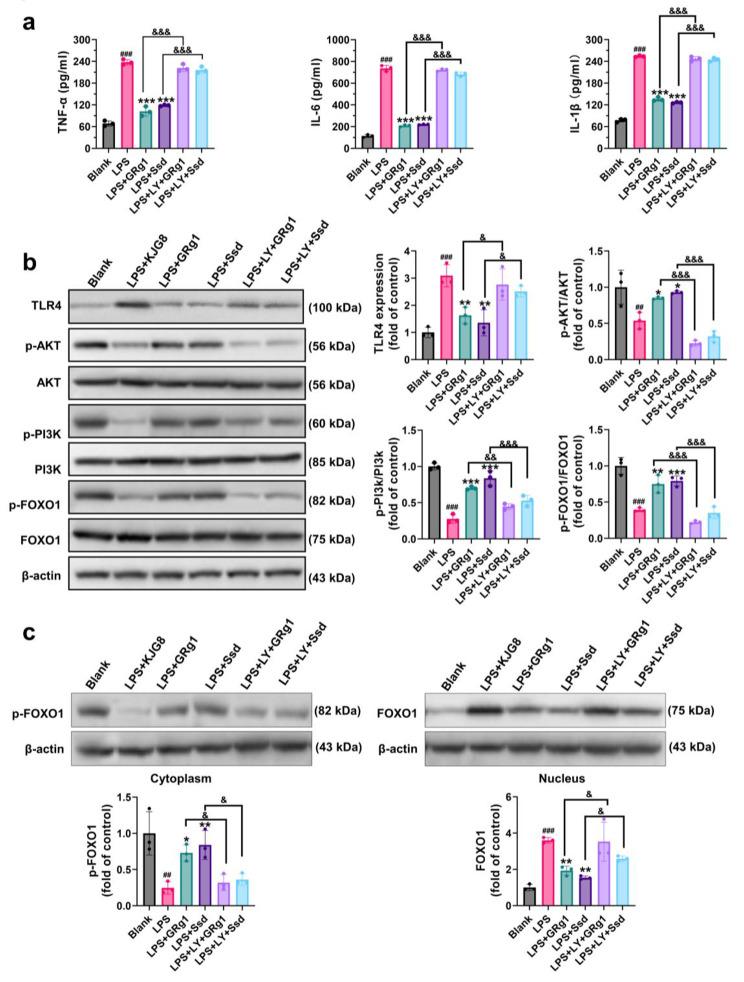 https://cdn.ncbi.nlm.nih.gov/pmc/blobs/c3f9/10182664/68fc65693e1a/12906_2023_3970_Fig7_HTML.jpg