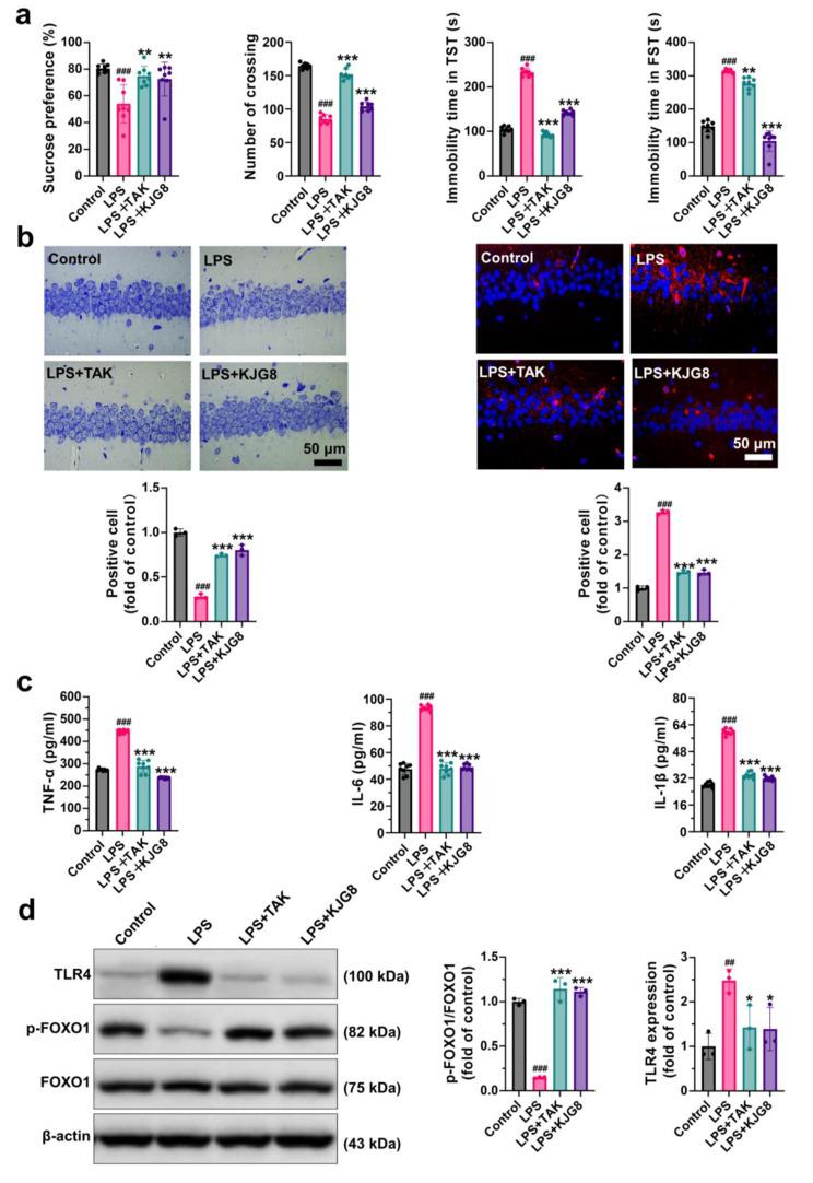 https://cdn.ncbi.nlm.nih.gov/pmc/blobs/c3f9/10182664/ab4a7a6937f9/12906_2023_3970_Fig4_HTML.jpg