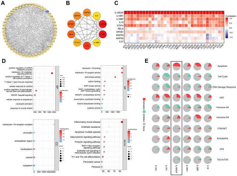 https://cdn.ncbi.nlm.nih.gov/pmc/blobs/c3fa/10522399/961024eb4844/aging-15-205017-g010.jpg