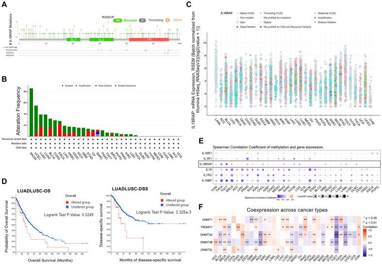 https://cdn.ncbi.nlm.nih.gov/pmc/blobs/c3fa/10522399/b61862e92cae/aging-15-205017-g003.jpg