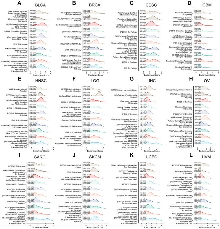 https://cdn.ncbi.nlm.nih.gov/pmc/blobs/c3fa/10522399/cec67a80ff71/aging-15-205017-g011.jpg