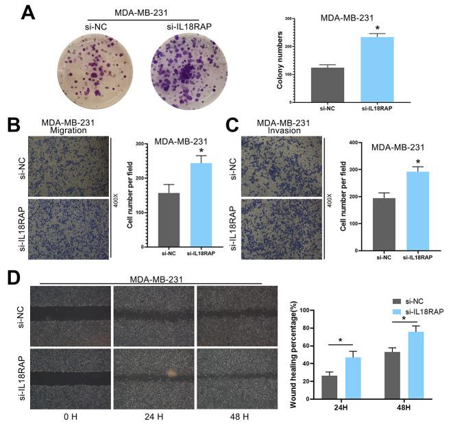 https://cdn.ncbi.nlm.nih.gov/pmc/blobs/c3fa/10522399/fa2f15ca9e3d/aging-15-205017-g013.jpg