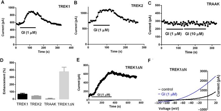 https://cdn.ncbi.nlm.nih.gov/pmc/blobs/c3fb/5980259/375ddf51998f/BPH-175-2272-g005.jpg