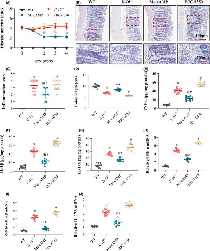 https://cdn.ncbi.nlm.nih.gov/pmc/blobs/c3fb/8742196/d4f23d5c81a2/JCMM-26-216-g003.jpg