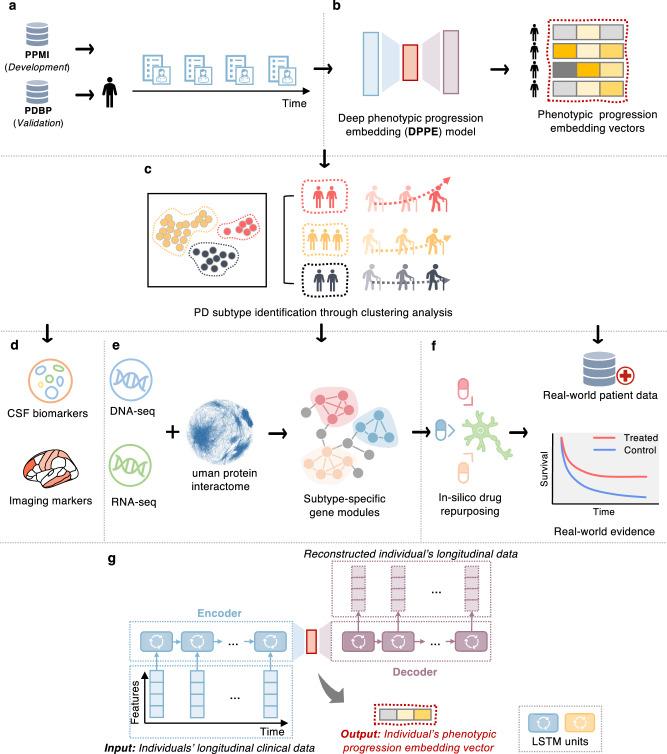 https://cdn.ncbi.nlm.nih.gov/pmc/blobs/c3fd/11233682/dcc959f9dd9b/41746_2024_1175_Fig1_HTML.jpg