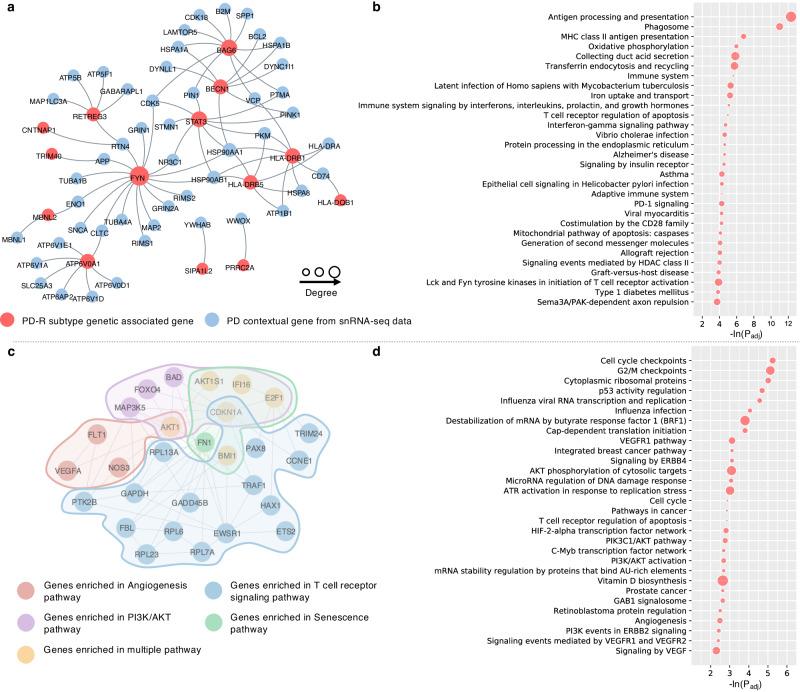 https://cdn.ncbi.nlm.nih.gov/pmc/blobs/c3fd/11233682/f8062ea74da6/41746_2024_1175_Fig4_HTML.jpg