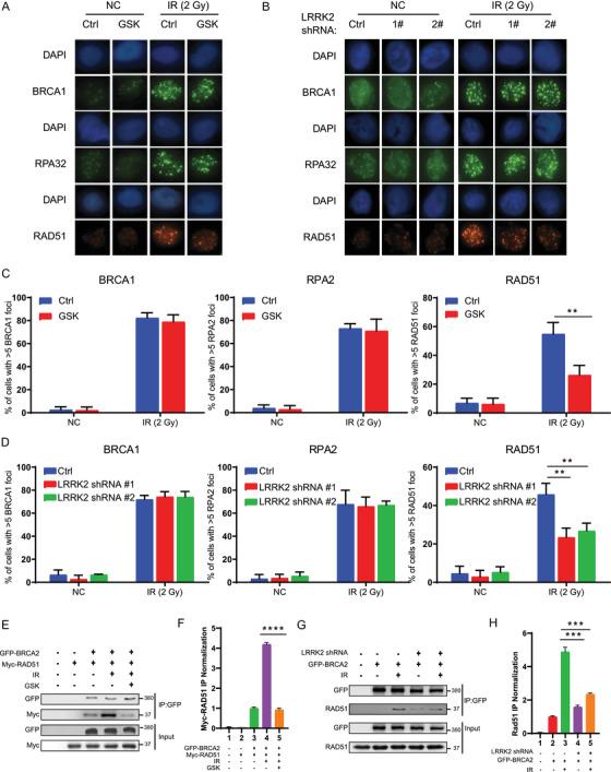 https://cdn.ncbi.nlm.nih.gov/pmc/blobs/c3ff/7908045/bcf51bfcd201/CTM2-11-e341-g003.jpg