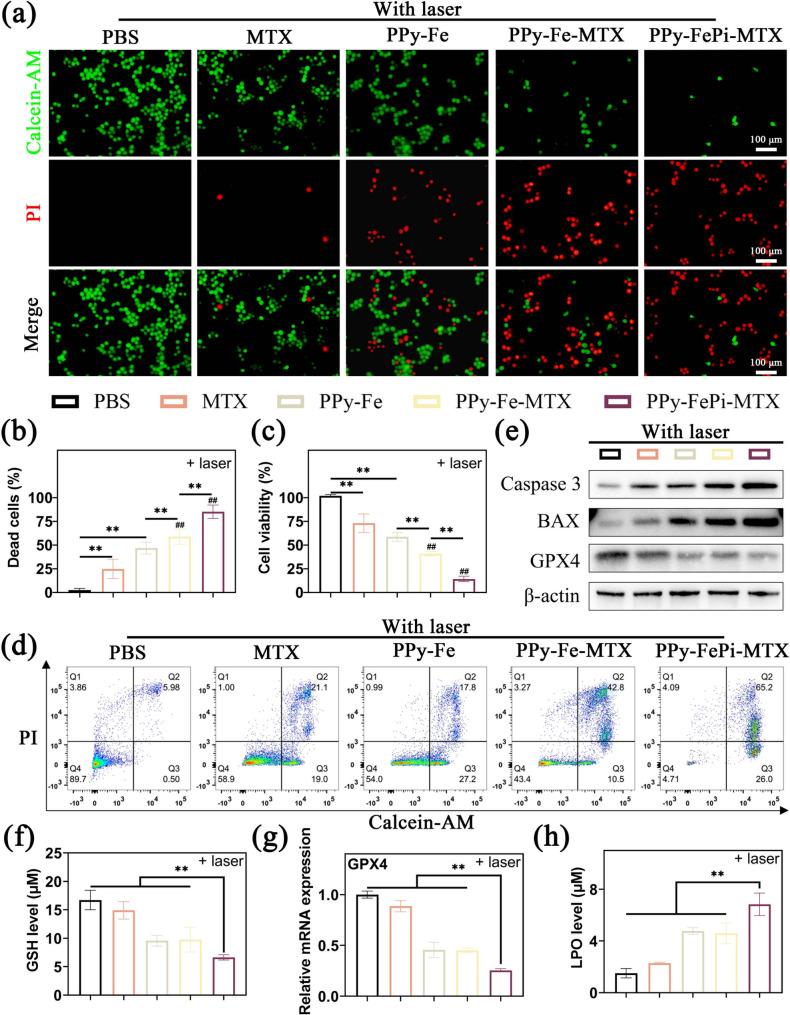 https://cdn.ncbi.nlm.nih.gov/pmc/blobs/c401/12144751/8733eb7ab8bb/12951_2025_3501_Fig5_HTML.jpg