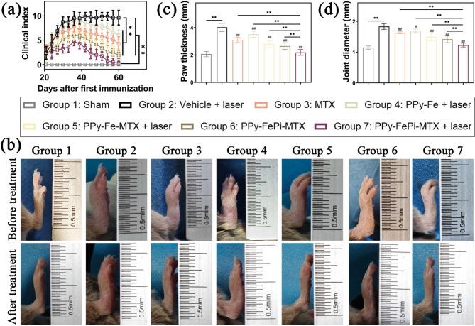 https://cdn.ncbi.nlm.nih.gov/pmc/blobs/c401/12144751/8a4857eb48b5/12951_2025_3501_Fig8_HTML.jpg