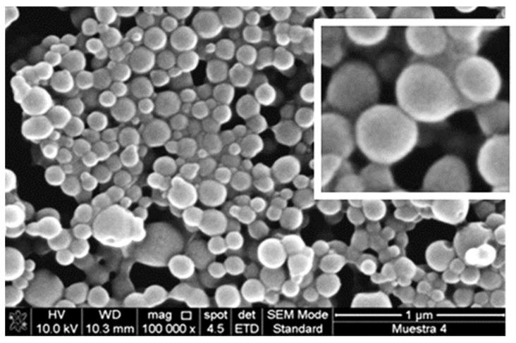 https://cdn.ncbi.nlm.nih.gov/pmc/blobs/c401/9182932/4adca3ad2c79/polymers-14-02172-g001.jpg