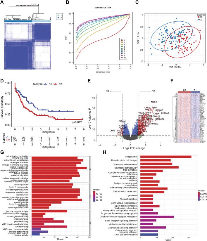 https://cdn.ncbi.nlm.nih.gov/pmc/blobs/c402/10483833/833ddfa8df4d/fcell-11-1207642-g002.jpg