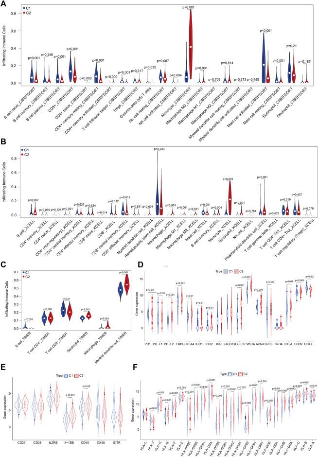 https://cdn.ncbi.nlm.nih.gov/pmc/blobs/c402/10483833/c8c0d304e67c/fcell-11-1207642-g003.jpg