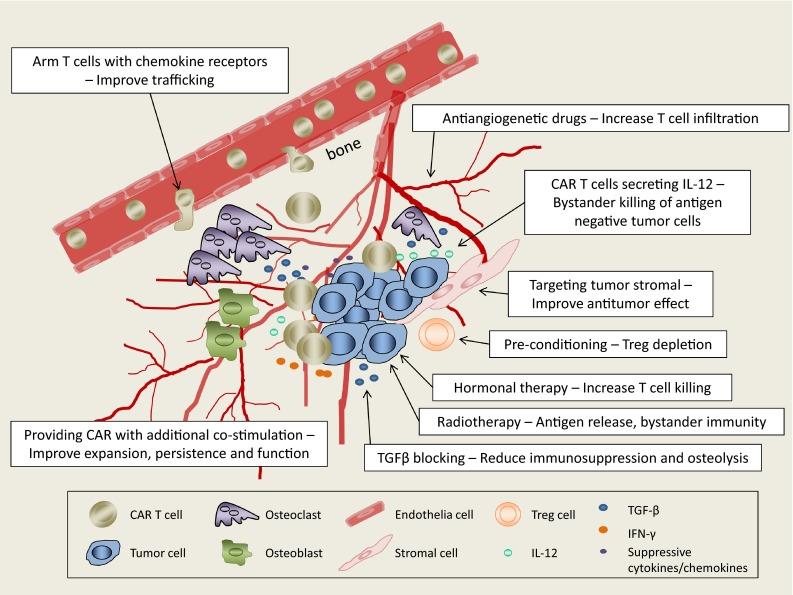 https://cdn.ncbi.nlm.nih.gov/pmc/blobs/c402/4544486/d465c9ca4e55/40259_2015_122_Fig2_HTML.jpg