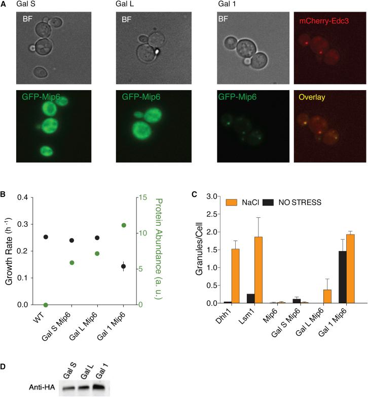 https://cdn.ncbi.nlm.nih.gov/pmc/blobs/c404/4929146/7bd4d5853d3e/gr2.jpg
