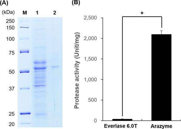 https://cdn.ncbi.nlm.nih.gov/pmc/blobs/c405/8299675/770903e3463e/12903_2021_1733_Fig1_HTML.jpg