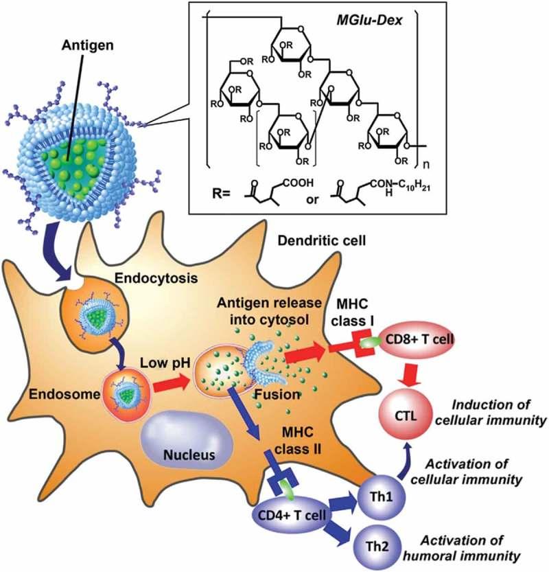 https://cdn.ncbi.nlm.nih.gov/pmc/blobs/c406/6383616/242458ec4221/TSTA_A_1528850_F0003_OC.jpg