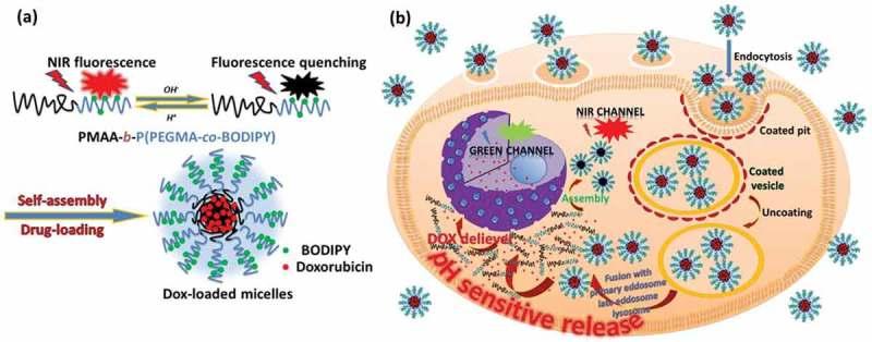 https://cdn.ncbi.nlm.nih.gov/pmc/blobs/c406/6383616/cdf64c615720/TSTA_A_1528850_F0002_OC.jpg