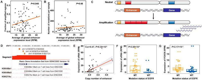 https://cdn.ncbi.nlm.nih.gov/pmc/blobs/c406/7532687/10eaced40cdd/thnov10p11264g005.jpg