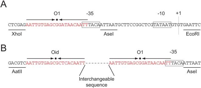 https://cdn.ncbi.nlm.nih.gov/pmc/blobs/c407/2682762/d74614feb910/pone.0005621.g014.jpg