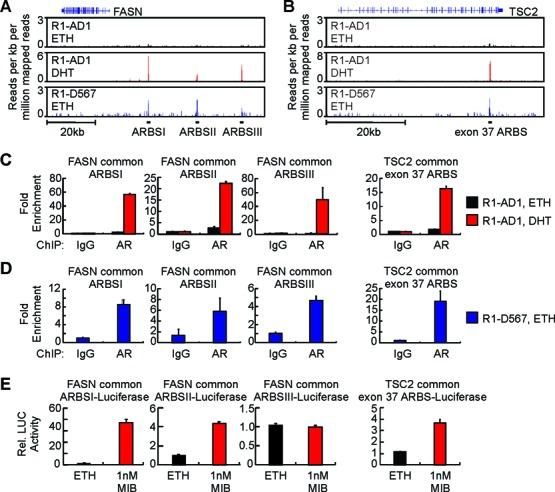 https://cdn.ncbi.nlm.nih.gov/pmc/blobs/c40a/4499120/02799887d190/gkv262fig3.jpg