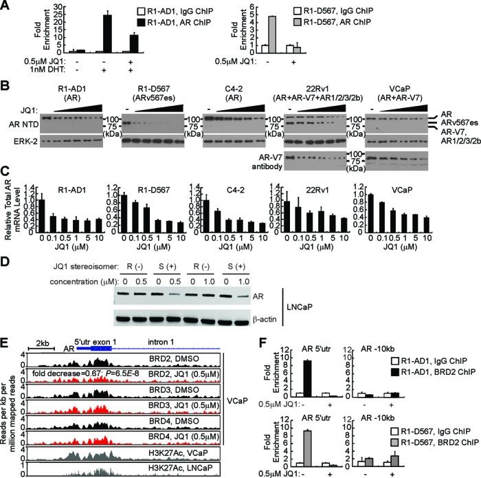 https://cdn.ncbi.nlm.nih.gov/pmc/blobs/c40a/4499120/3717ba6fa0f7/gkv262fig8.jpg