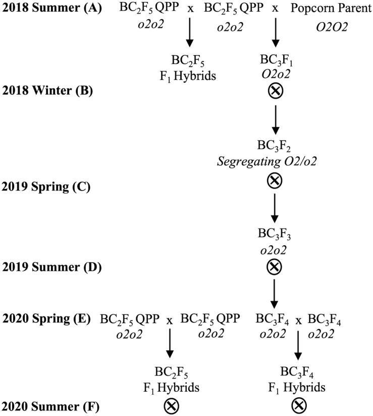 https://cdn.ncbi.nlm.nih.gov/pmc/blobs/c40b/8025670/7213378ecdd5/fpls-12-658456-g001.jpg